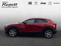 Gebraucht Mazda CX-30 Selection 122 PS (89 kW) 2020 Rot SUV