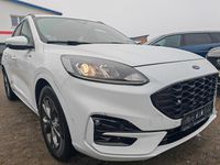 Gebraucht Ford Kuga ST-Line 190 PS (139 kW) 2023 Weiß SUV