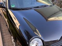 Gebraucht VW Lupo Basis 60 PS (44 kW) 2004 Schwarz Kleinwagen