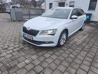 Gebraucht Skoda Superb 190 PS (139 kW) 2019 Weiß Limousine