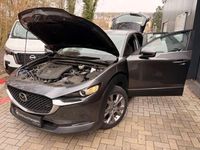 Gebraucht Mazda CX-30 Selection 2022 Grau SUV