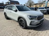 Neu Skoda Kodiaq Selection 150 PS (110 kW) 2025 Stahl grau SUV