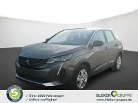 Gebraucht Peugeot 3008 Active 131 PS (96 kW) 2023 Grau SUV