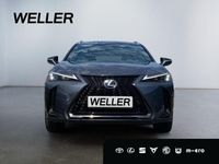 Neu Lexus UX 2026 Grau SUV