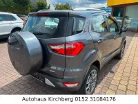 Gebraucht Ford Ecosport Titanium 125 PS (91 kW) 2015 Grau SUV