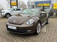 Gebraucht VW Beetle Cabriolet Design 105 PS (77 kW) 2013 Braun Cabrio