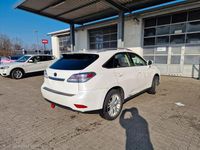 Gebraucht Lexus RX450h+ 299 PS (219 kW) 2009 Weiß SUV