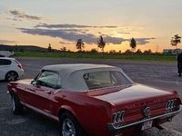 Gebraucht Ford Mustang 200 PS (147 kW) 1967 Rot Cabrio