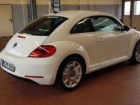 Gebraucht VW Beetle Design 105 PS (77 kW) 2012 Weiß Kleinwagen