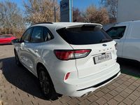 Gebraucht Ford Kuga ST-Line X 152 PS (111 kW) 2022 Weiß SUV