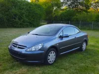 Gebraucht Peugeot 307 CC 140 PS (102 kW) 2005 Grau Cabrio
