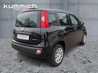 Neu Fiat Panda Icon 69 PS (50 kW) 2026 Schwarz Kleinwagen