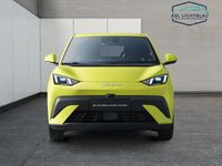 Neu BYD Dolphin Surf Comfort 114 kW (156 PS) 2026 Lime green Kleinwagen