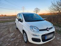 Gebraucht Fiat Panda 69 PS (50 kW) 2016 Weiß Kleinwagen