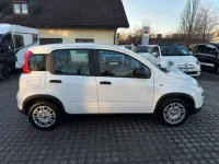 Neu Fiat Panda 69 PS (50 kW) 2025 Weiß Limousine