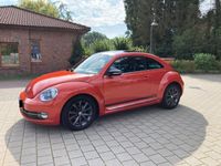 gebraucht VW Beetle 2.0 TDI 81kW CLUB, 17 Zoll+Winterreifen