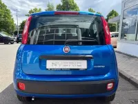 Neu Fiat Panda Icon 69 PS (50 kW) 2026 Blau Kleinwagen