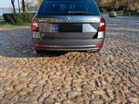 Gebraucht Skoda Octavia 116 PS (85 kW) 2017 Grau Kombi