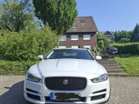 Gebraucht Jaguar XE Prestige 179 PS (131 kW) 2016 Weiß Limousine