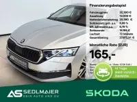 Gebraucht Skoda Octavia Selection 150 PS (110 kW) 2024 Brillantsilber Kombi