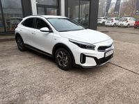 Neu Kia XCeed 116 PS (85 kW) 2025 Weiß SUV