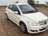 Gebraucht Mercedes B200 Sport Edition 140 PS (102 kW) 2011 Weiß Van / Kleinbus