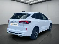 Gebraucht Ford Kuga ST-Line X 186 PS (136 kW) 2024 Weiß SUV