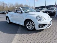 Gebraucht VW Beetle Cabriolet Design 105 PS (77 kW) 2017 Weiß Cabrio