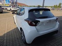 Neu Mazda 2 Exclusive-Line 116 PS (85 kW) 2025 Lunar white Kleinwagen