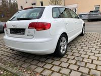 Gebraucht Audi A3 Ambiente 140 PS (102 kW) 2007 Weiß Kleinwagen