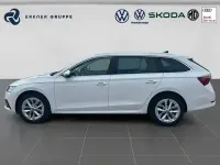 Gebraucht Skoda Octavia Style 116 PS (85 kW) 2023 Candyweiss Kombi