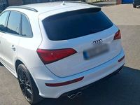Gebraucht Audi SQ5 Competition 326 PS (239 kW) 2017 Weiß SUV