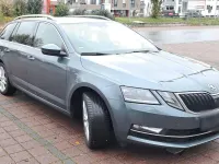 Gebraucht Skoda Octavia Premium Edition 116 PS (85 kW) 2018 Grau Kombi