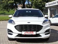 Gebraucht Ford Kuga ST-Line 120 PS (88 kW) 2024 Frotsweiss SUV