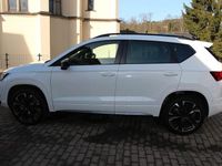 Gebraucht Cupra Ateca 150 PS (110 kW) 2024 Blanco candy/bila white SUV