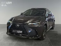 Gebraucht Lexus NX350h Executive Line 243 PS (178 kW) 2022 Sonic grey SUV