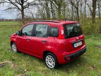 gebraucht Fiat Panda 1.2 Klima, Carplay, Gepflegt