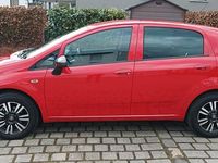 Gebraucht Fiat Punto Young 69 PS (50 kW) 2015 Rot Kleinwagen