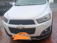Gebraucht Chevrolet Captiva 183 PS (134 kW) 2014 Weiß SUV