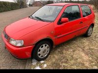 Gebraucht VW Polo 60 PS (44 kW) 1998 Rot Kleinwagen