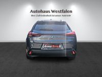 Gebraucht Lexus UX 250h 152 PS (111 kW) 2023 Grün SUV