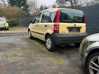 Gebraucht Fiat Panda 60 PS (44 kW) 2009 Gelb Kleinwagen