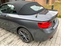 gebraucht BMW 220 i Cabrio Sport Line