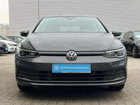 gebraucht VW Golf VIII 1.5 TSI Active Kamera Klima LED Navi Sitzhzg Standhzg