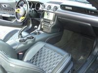gebraucht Ford Mustang GT 5,0 Leder"Navi"Xenon"19Zoll