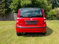 Gebraucht Fiat Panda 55 PS (40 kW) 2009 Rot Kleinwagen