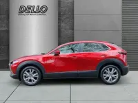 Gebraucht Mazda CX-30 Selection 186 PS (136 kW) 2023 Soul red crystal m SUV