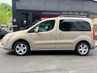 Gebraucht Peugeot Partner Tepee Premium 120 PS (88 kW) 2010 Beige Van / Kleinbus