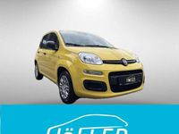 Neu Fiat Panda 69 PS (50 kW) 2025 Gelb Kleinwagen