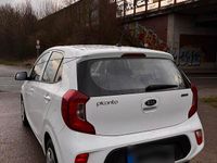 Gebraucht Kia Picanto 68 PS (50 kW) 2017 Weiß Kleinwagen